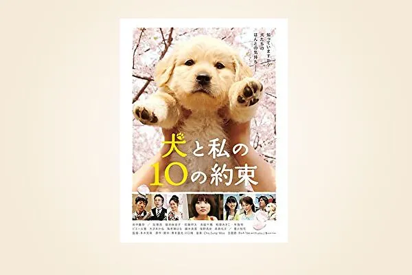 映画【犬と私の10の約束】フル動画観るならココ※無料配信情報