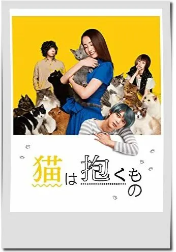 犬童一心監督映画【猫は抱くもの】